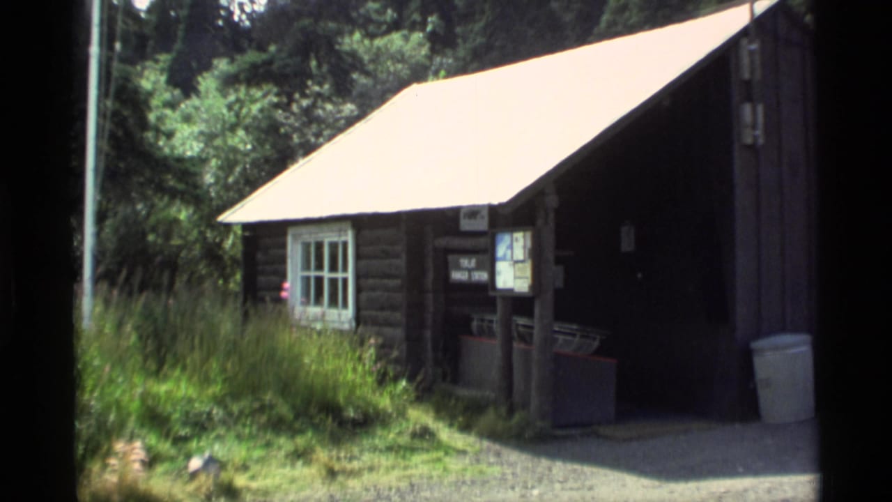 Rustic log cabin with a pale roof beside trees and a covered entrance.