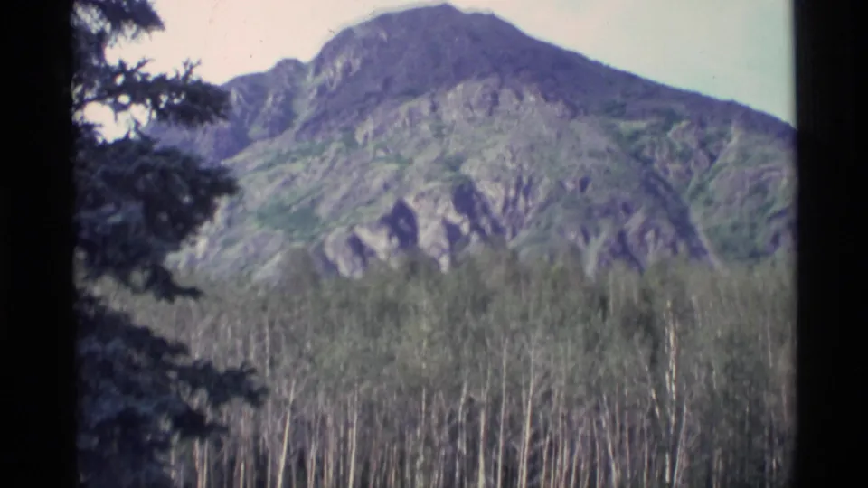 1977 Alaska 8mm frame with a rocky mountain slope beyond a dense tree line and dark evergreen branches along the left edge.