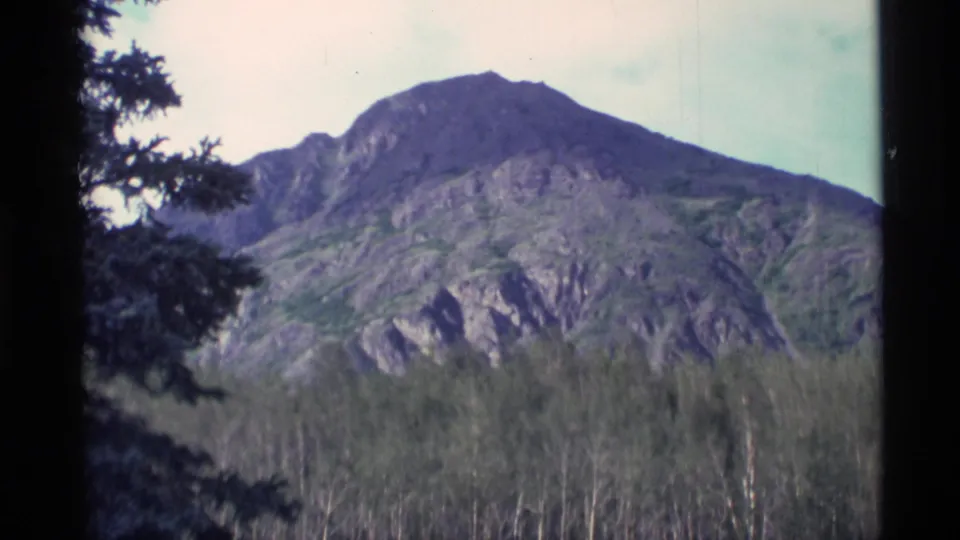 1977 Alaska 8mm frame showing a rounded mountain summit, rocky green slopes, and dark evergreen branches in the foreground.