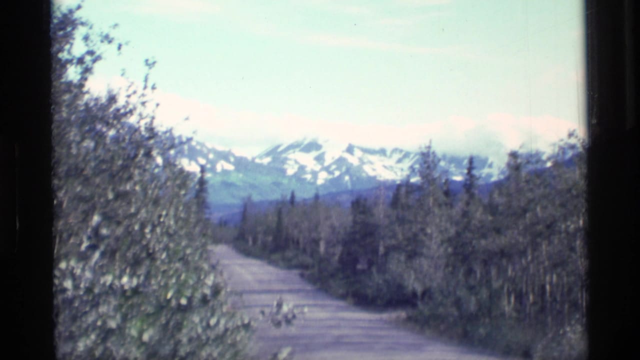 Gravel road through trees with snow-capped mountains in the distance.