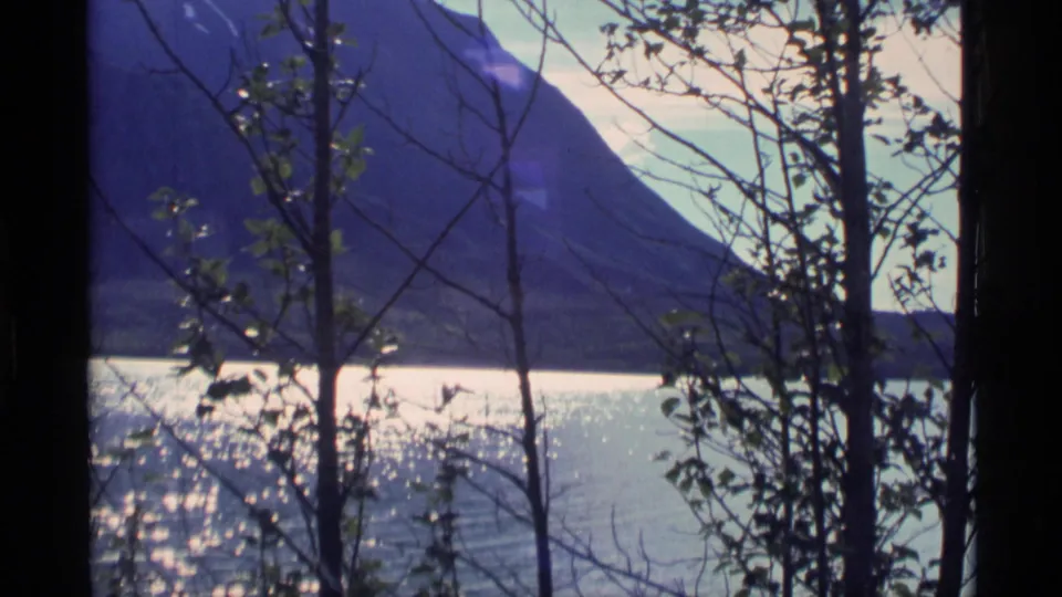 Alaskan lakeside view through dark branches, with bright water and a mountain slope in faded 8mm color.