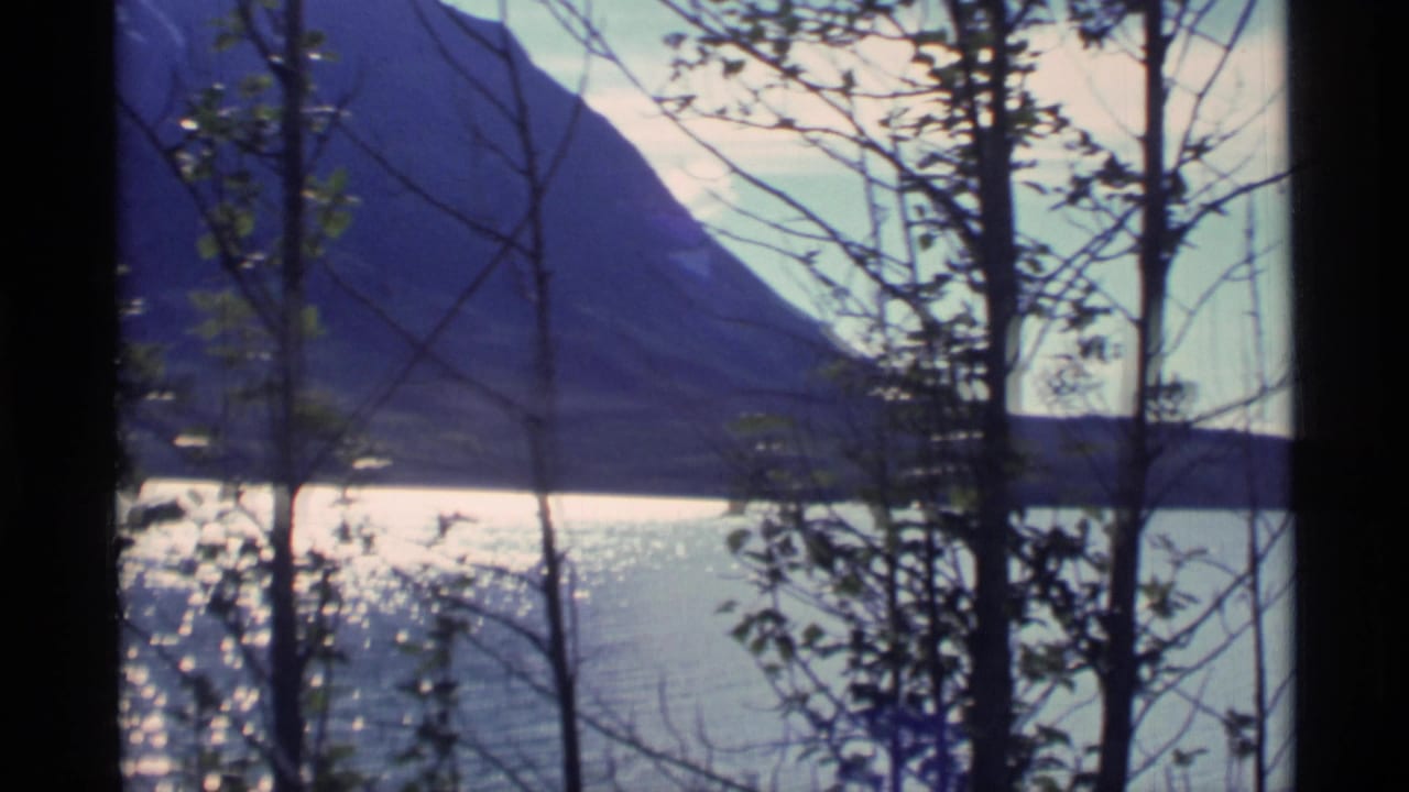Blue water and distant mountains seen through dark foreground trees and branches.