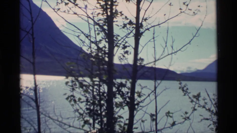 1977 Alaska 8mm frame with a mountain ridge beyond blue water, viewed through shoreline trees and sparse branches.
