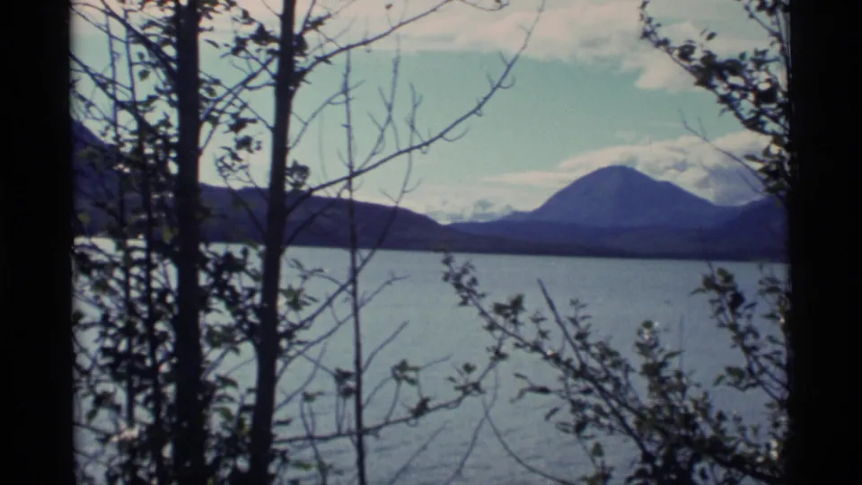 1977 Alaska 8mm frame showing a rounded distant mountain over blue water, seen through thin branches and leafy shrubs.