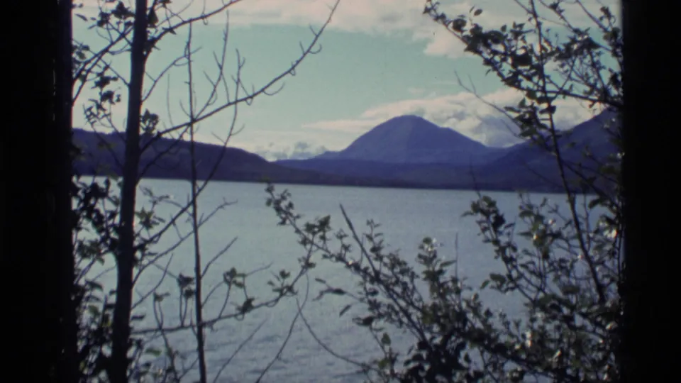 1977 Alaska 8mm frame of blue water and distant mountains with visible snow patches, framed by dark trunks and branches.