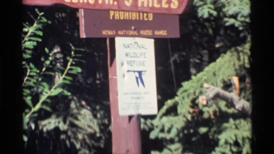 1977 Alaska home-movie detail of trailhead notices mounted on a wooden post among shrubs and trees.