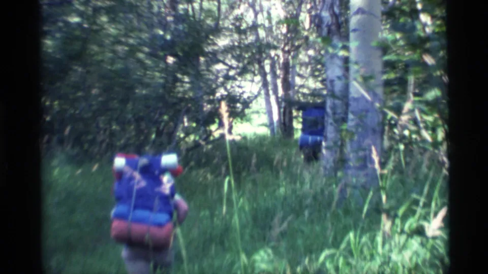 A hiker with a large pack walks into a wooded Alaska trail bordered by birch trunks and dense summer greenery.
