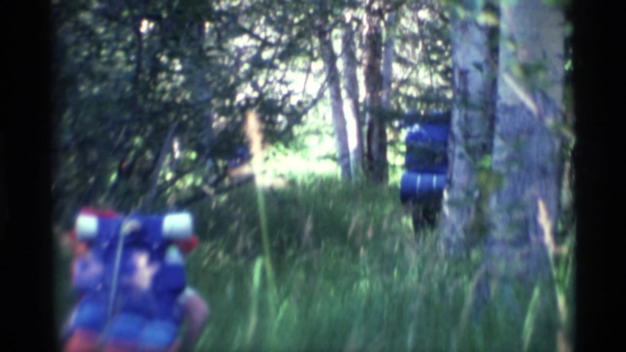 1977 Alaska 8mm frame of hikers with blue and red packs walking through grass in a wooded area.