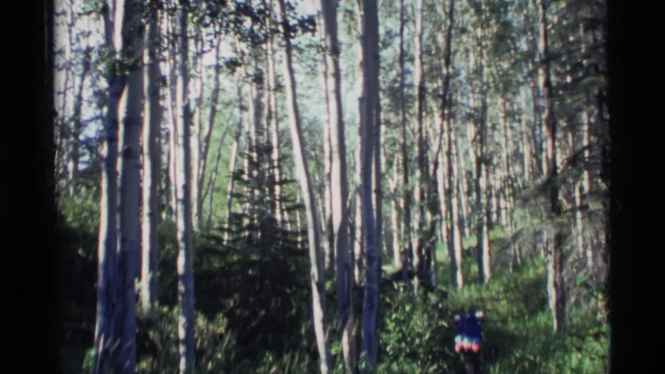 1977 Alaskan woodland scene with tall trunks, bright foliage, and a small backpacker moving through the lower part of the frame.