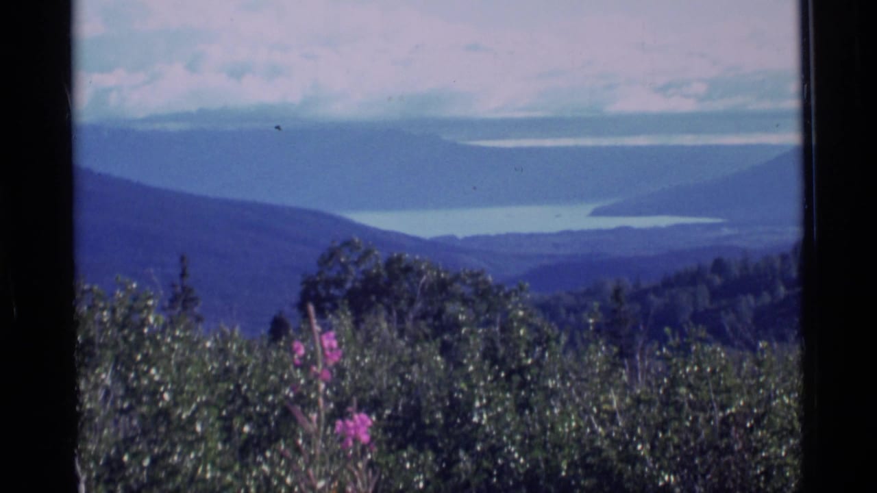 Mountain lake view with shrubs and pink flowers in the foreground.
