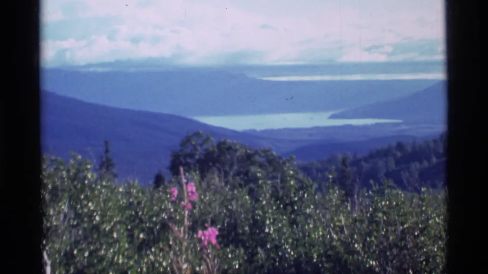 1977 Alaska 8mm landscape frame with foreground brush, pink flowers, distant lake, and layered mountains.