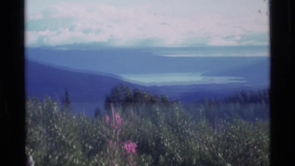 1977 Alaska 8mm frame with a hazy mountain lake view behind green shrubs and pink wildflowers.