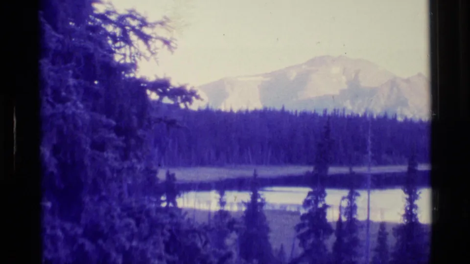 1977 Alaska 8mm frame with evergreen trees, a calm lake, dark forest line, and pale snow-patched mountains in cool purple film tones.