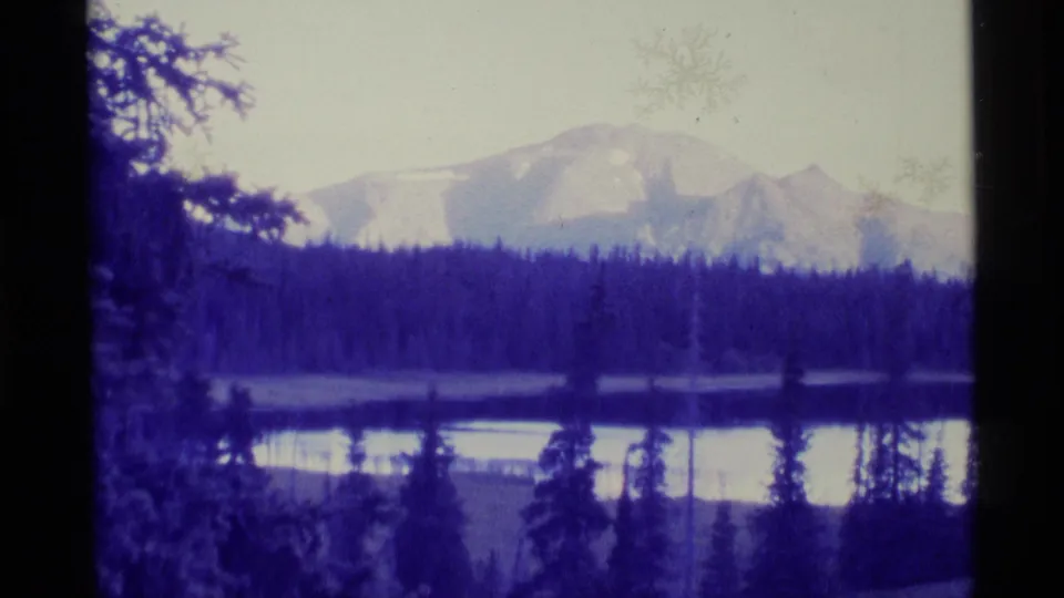 1977 Alaska 8mm frame showing a lake and forest beneath distant mountains, partly framed by evergreen branches and purple film color shift.