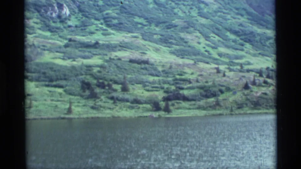 1977 Alaska 8mm frame of a broad lake edge with a green hillside and scattered evergreen trees beyond the water.