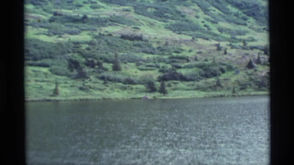 1977 Alaska home-movie frame looking across lake water toward a shrub-covered hillside with scattered trees.
