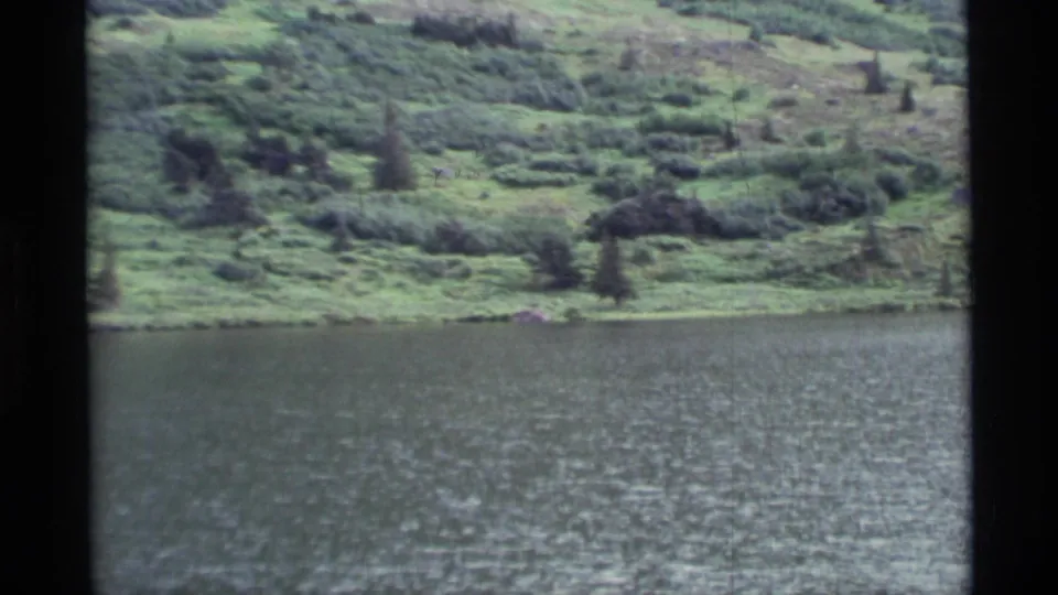 1977 Alaska 8mm frame showing rippled lake water beneath a green, uneven hillside dotted with small evergreens.