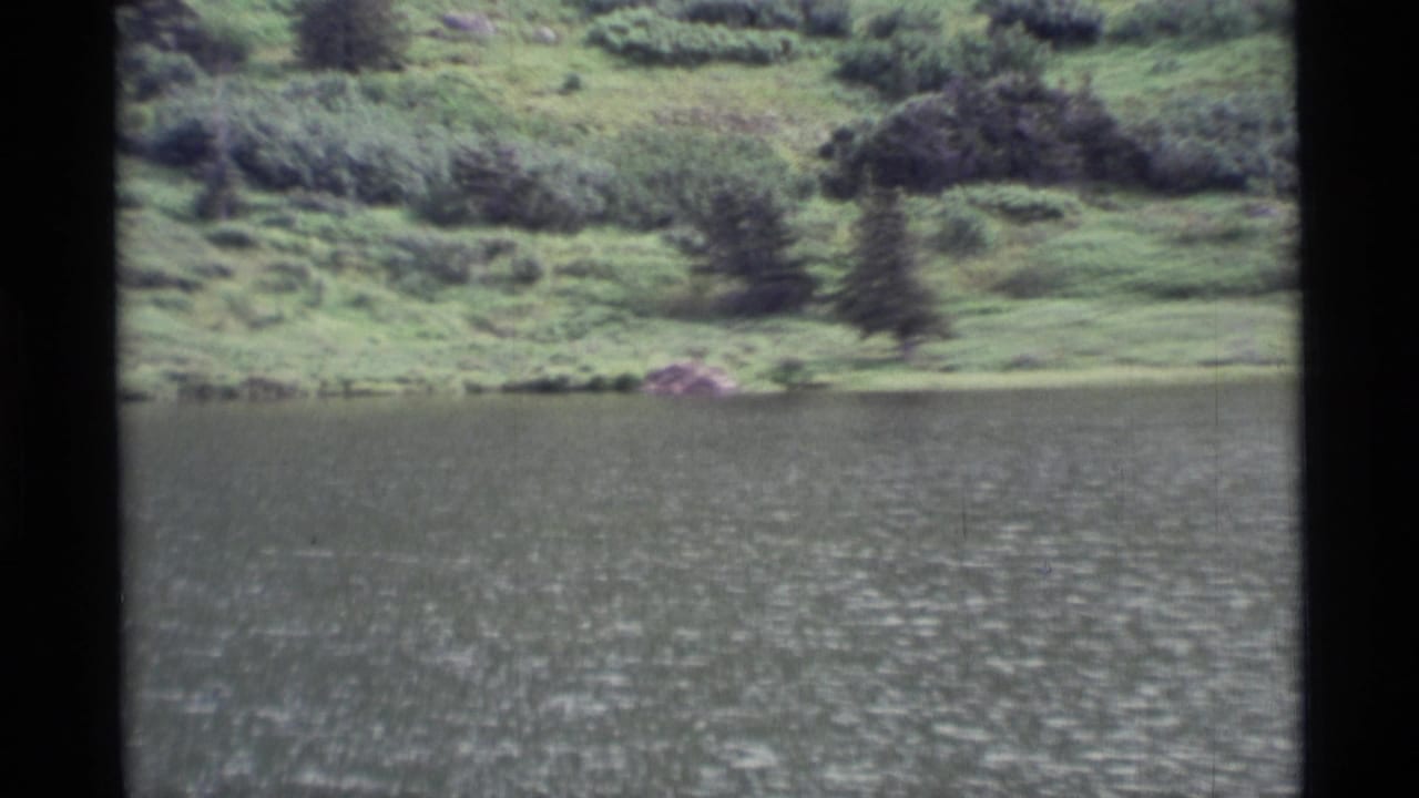 Lake surface with a green bank and scattered evergreen trees beyond it.