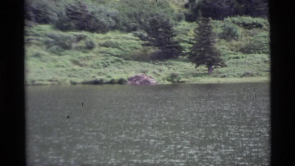 1977 Alaska 8mm frame showing the lake edge, grassy bank, shrubs, and evergreen trees under muted light.