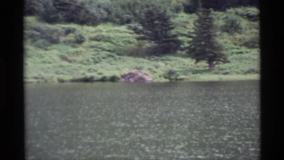 1977 Alaska home-movie frame of calm lake water facing a grassy bank with shrubs and evergreen trees.