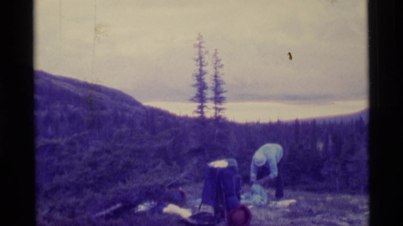 Adult bends over picnic supplies in a forest clearing with hills and evergreens behind.
