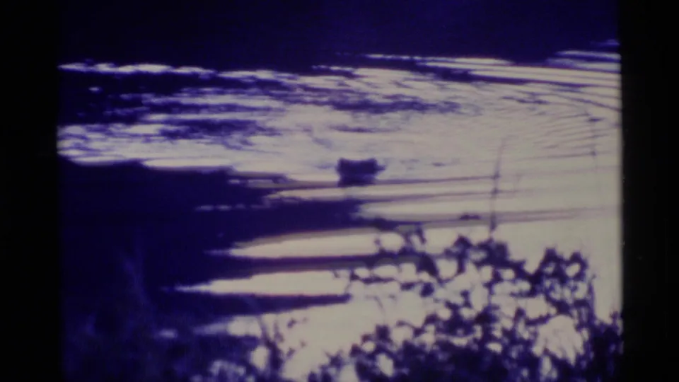 1977 Alaska 8mm frame showing rippled pond water, bright reflected light, and silhouetted foreground plants.