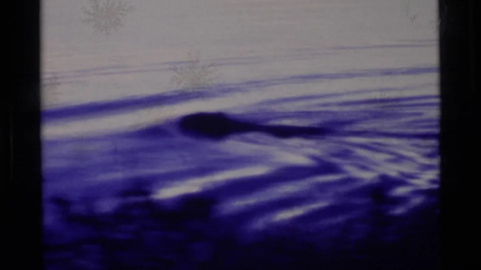 Blue-shifted 8mm frame of a dark animal-like form in rippling Alaska water, with soft focus and visible film wear.