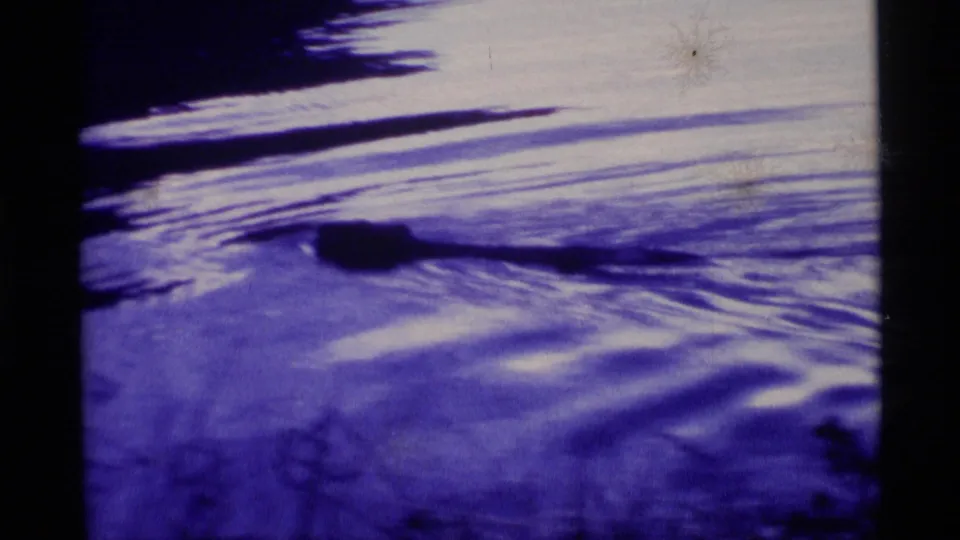1977 Alaska 8mm frame showing a dark form near the water surface, framed by shadowed shoreline and purple-blue ripples.