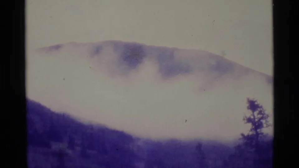 1977 Alaska 8mm frame focusing on a cloud-covered mountain slope with a lone tree at the right edge.