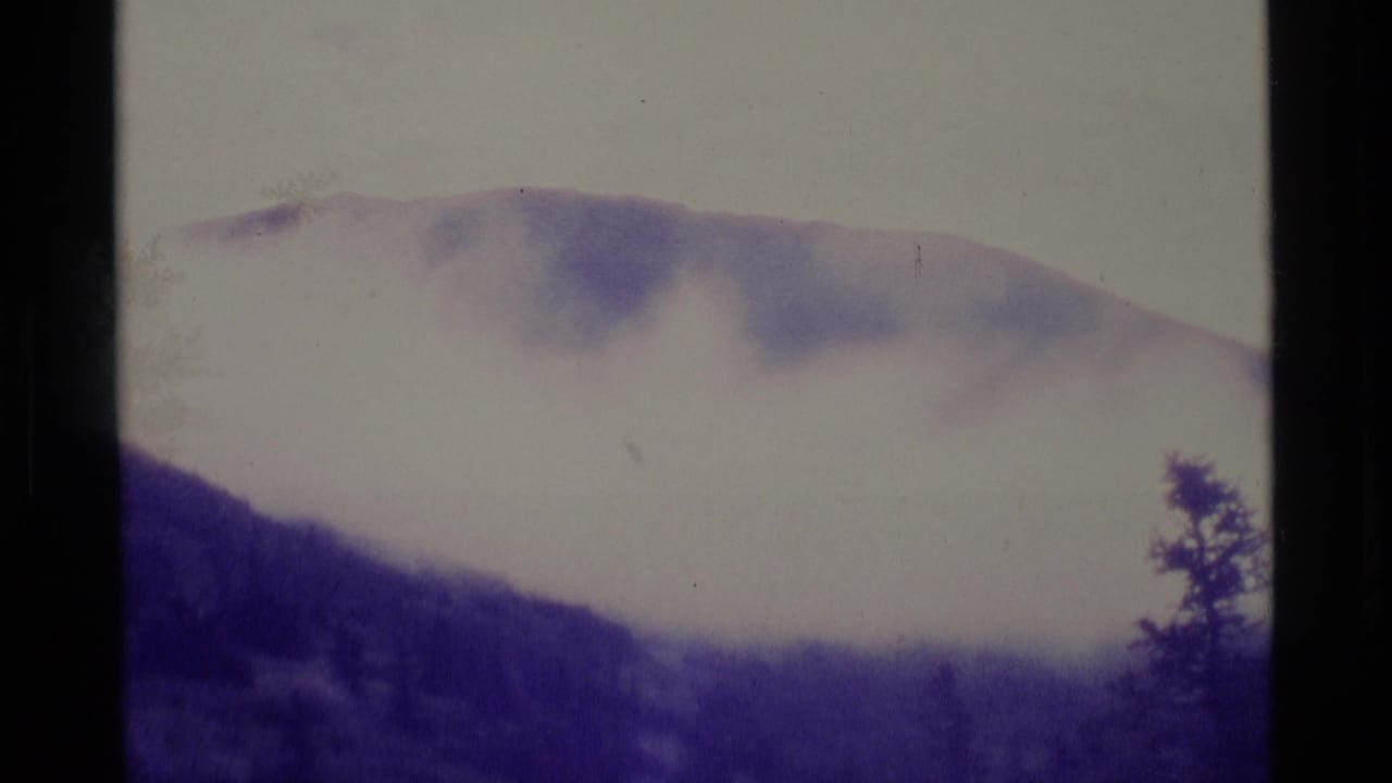 1977 Alaska 8mm frame showing a misty mountain slope over dark evergreen forest, rendered in soft purple-tinted monochrome.