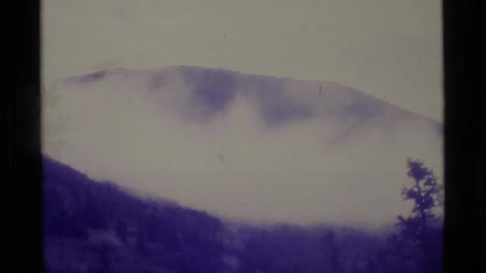1977 Alaska 8mm frame showing a misty mountain slope over dark evergreen forest, rendered in soft purple-tinted monochrome.