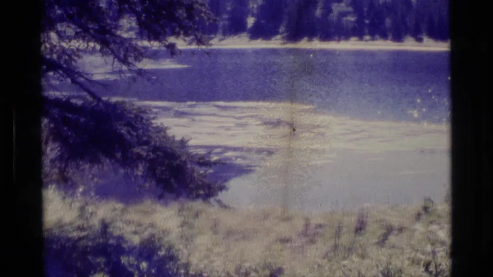 1977 Alaska 8mm frame showing a calm lakeshore view with foreground branches, grasses, water, and distant trees.