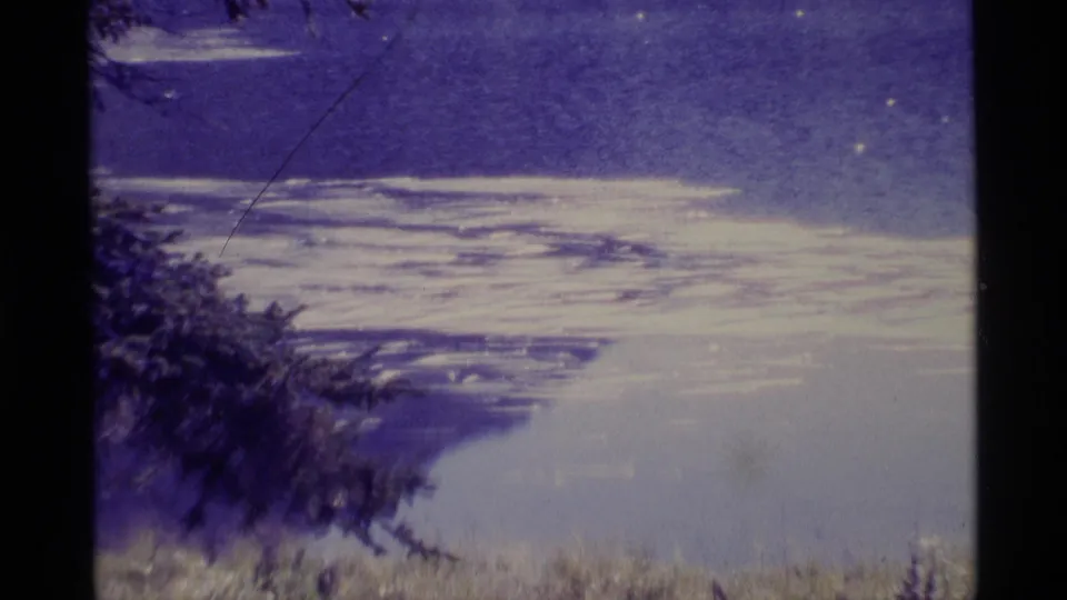 1977 Alaska home-movie frame of a still lake from shore, with a dark branch crossing the foreground and distant wooded edge.