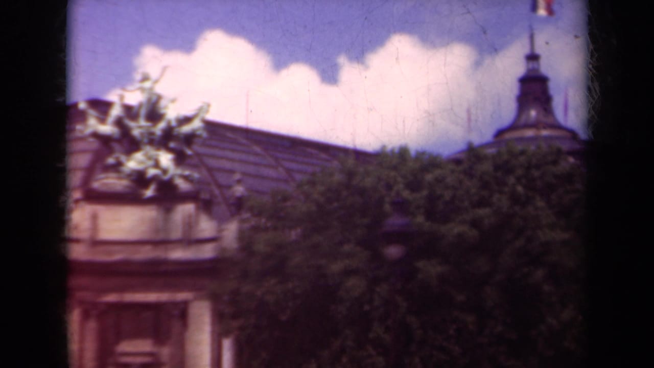 Ornate Paris building roof partly hidden by trees with a French flag above.