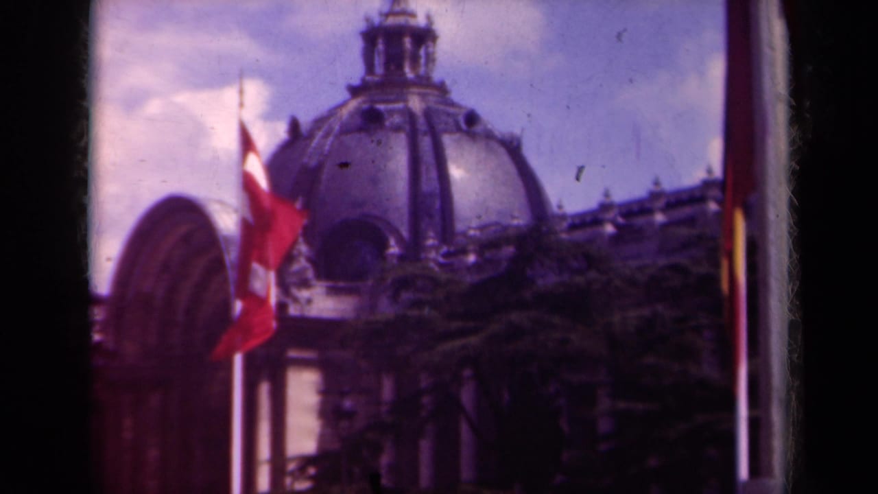 Swiss flag in front of a domed classical building with trees and sky.