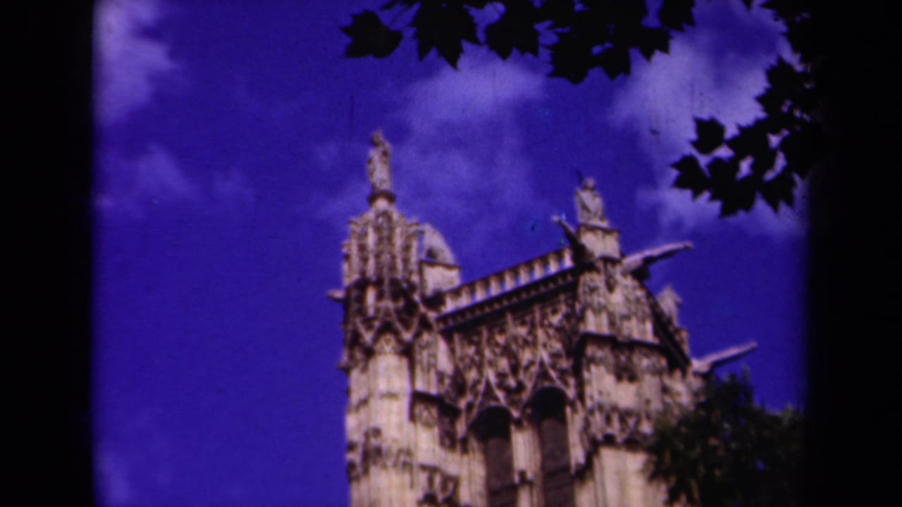 Gothic cathedral spires and stone figures framed by dark tree leaves against a blue sky.