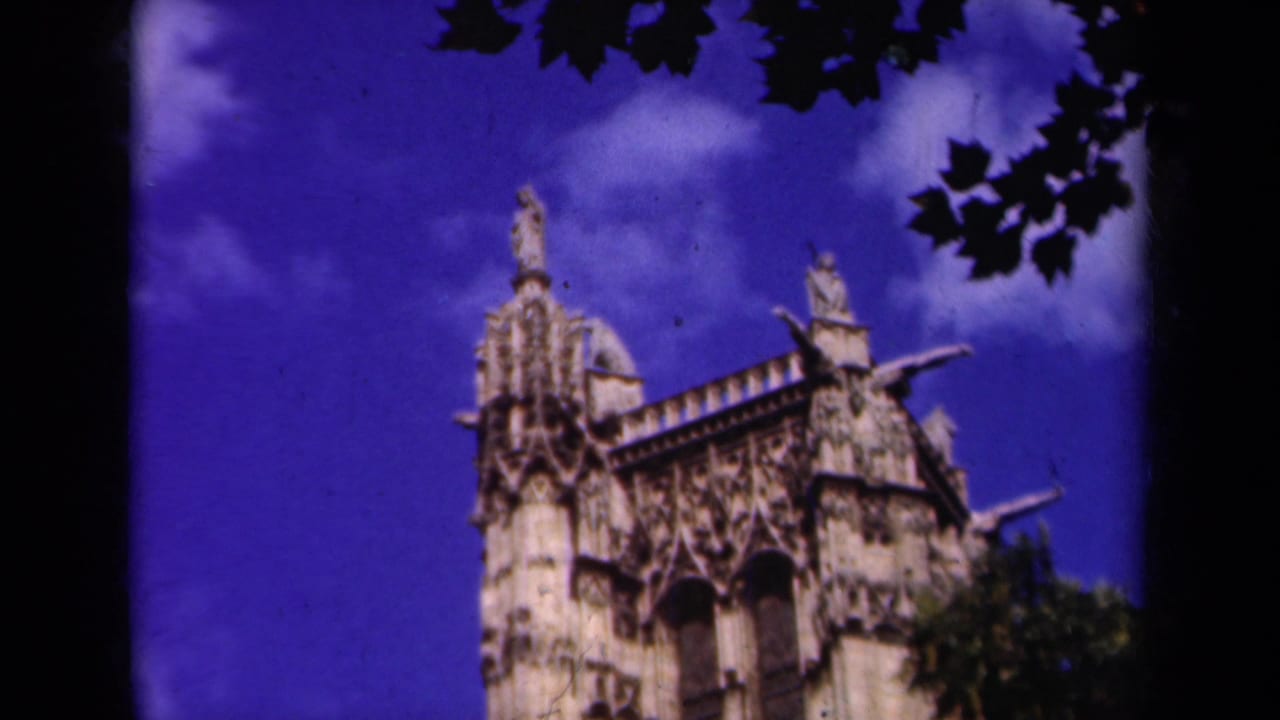 Paris landmark view showing Gothic stone ornament, statues, buttresses, and dark foliage across the upper frame.