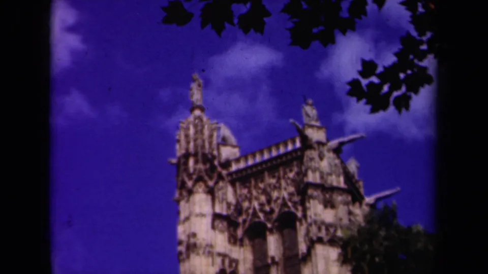 Low-angle 8mm frame of a Gothic cathedral in Paris, with carved stonework and silhouetted leaves overhead.