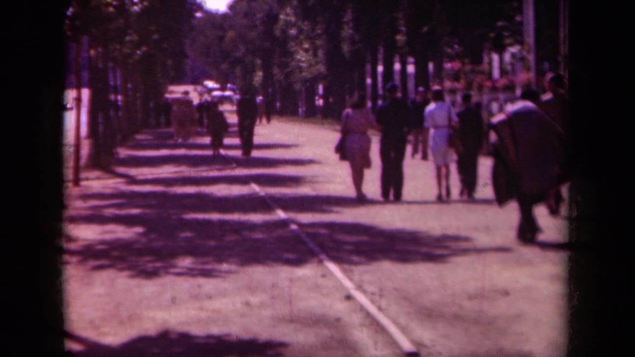 Pedestrians walk away along a sunny tree-lined street with shadows across the pavement.