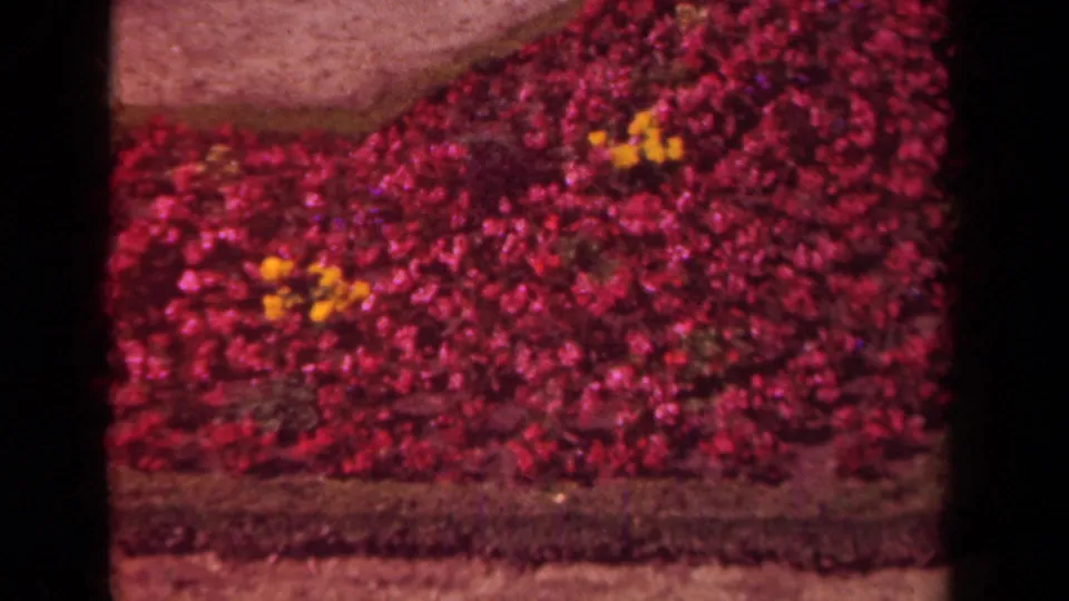 Foreground red flowerbed with yellow blooms in a 1939 Paris garden, with pale paths and distant visitors beyond.
