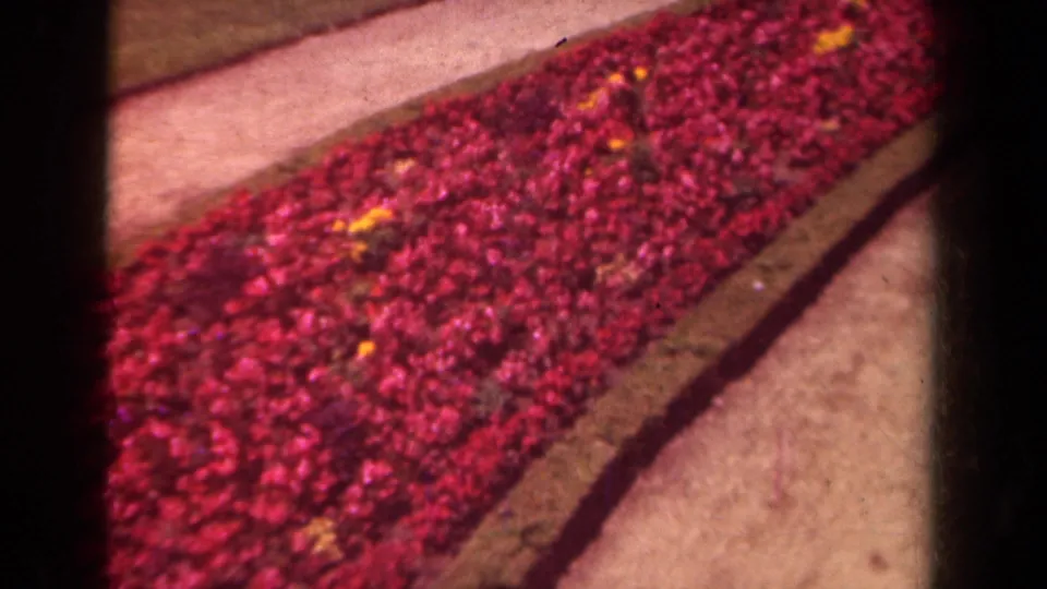 Final 8mm frame showing the Paris sidewalk flower bed in soft color, with red flowers and small yellow blooms visible.