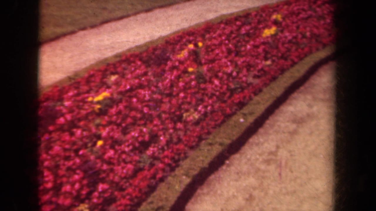 Curving red flower bed bordered by pale garden paths and low edging.