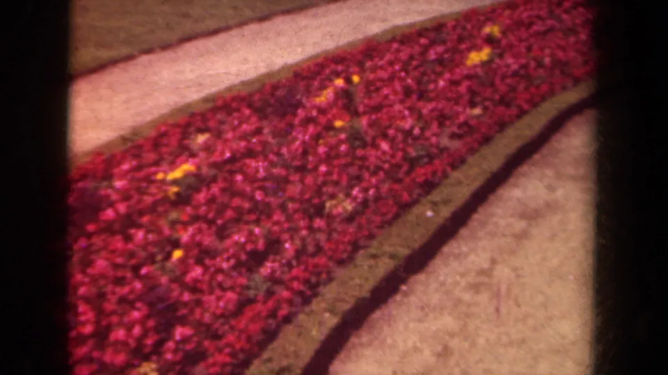 1939 Paris 8mm frame showing a curved red flower bed with pale walkways, low borders, and small yellow blossoms.