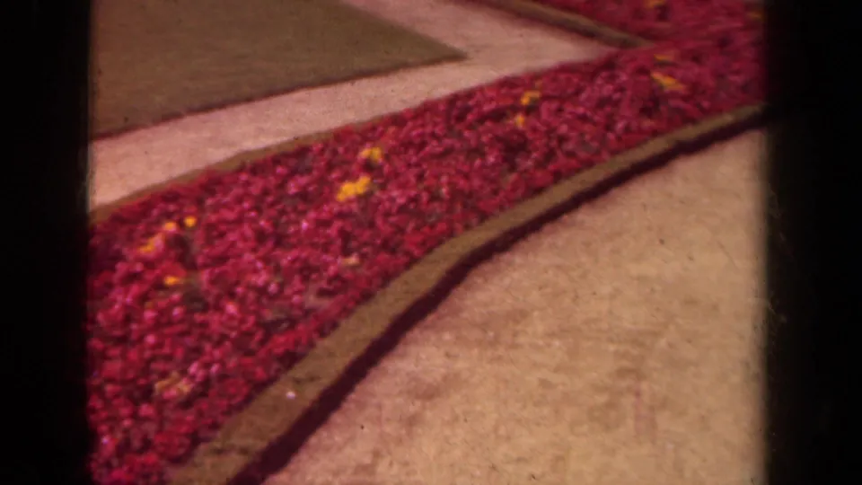 1939 Paris 8mm frame showing a red flower bed, scattered yellow blooms, pale path, and dark gate or frame edge from the film scan.