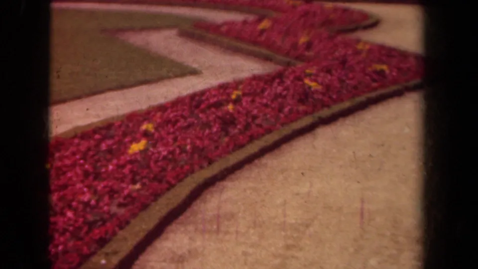 1939 Paris frame with dense red flowers, yellow accents, intersecting pale paths, and visible 8mm contact-sheet borders.