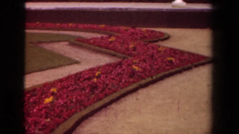 1939 Paris garden view with dense red flowering shrubs, scattered yellow blooms, pale paths, and trimmed grass.