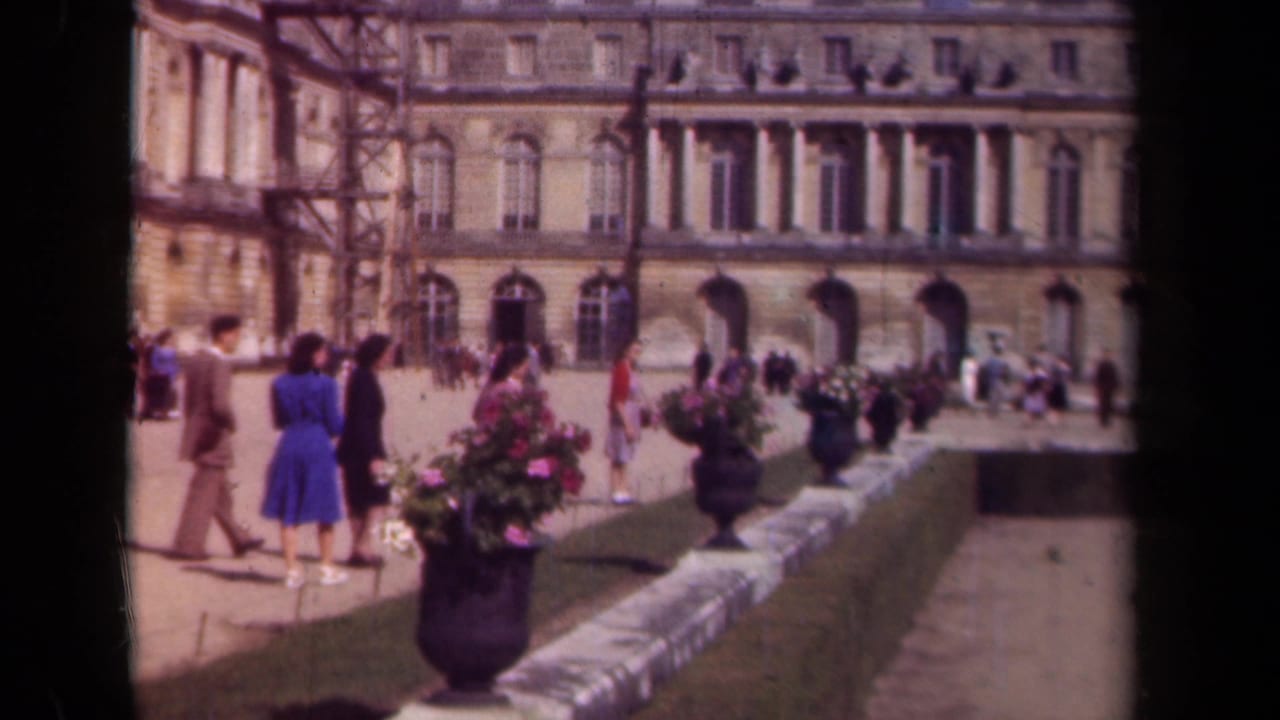Visitors walk through a sunlit palace courtyard beside large potted flowers and a stone edge.