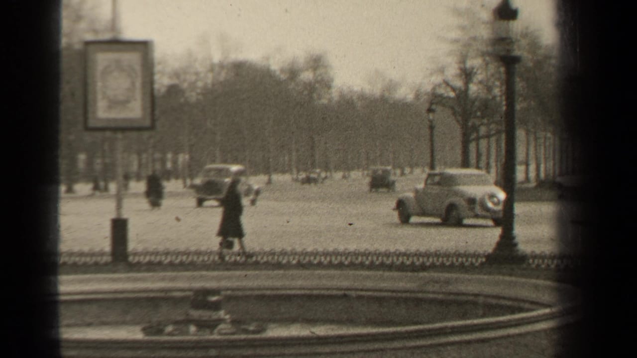 Pedestrians cross near moving cars on a broad boulevard with trees and lamps.