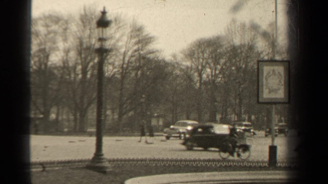 Cars and a cyclist pass a Paris boulevard with bare trees and street lamps.