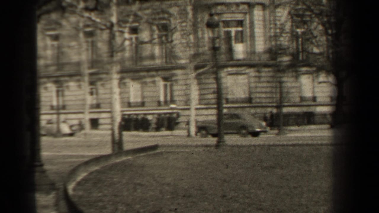 Curved road edge, park grass, trees, and building facade across the street.